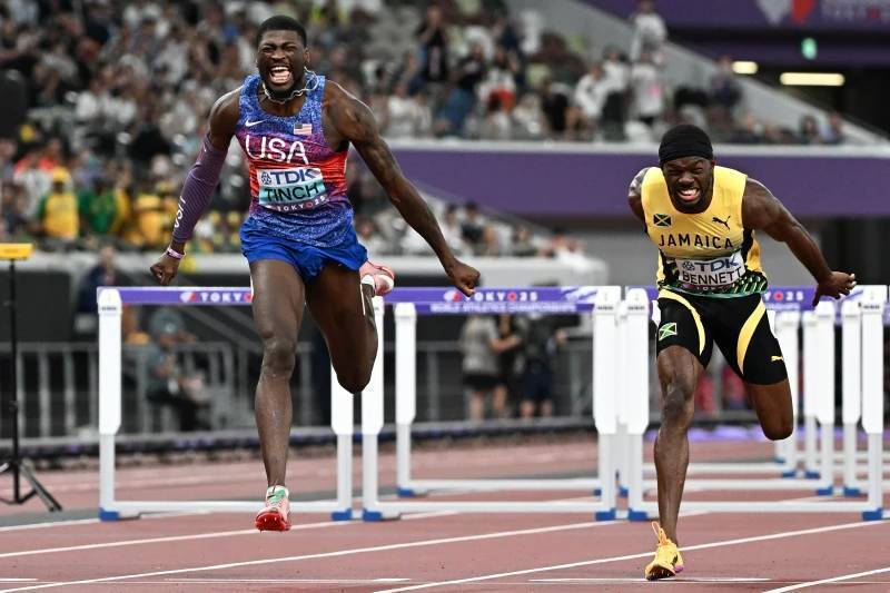 廷奇将继父, Corde 廷奇将继父, Corde